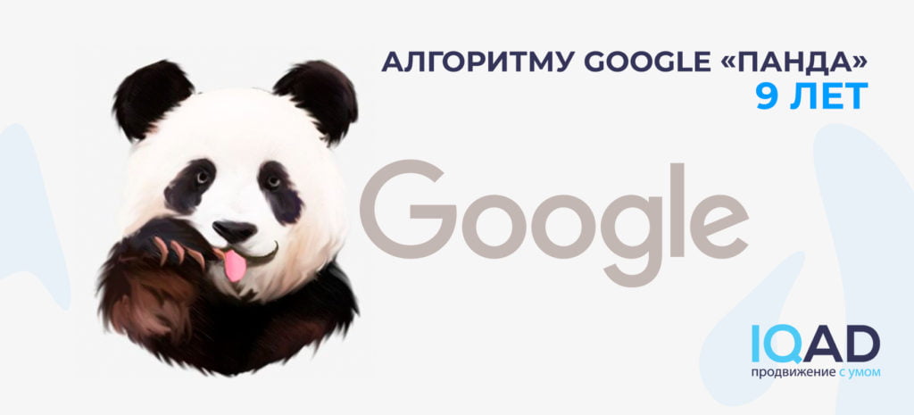 Алгоритму Google «Панда» 9 лет